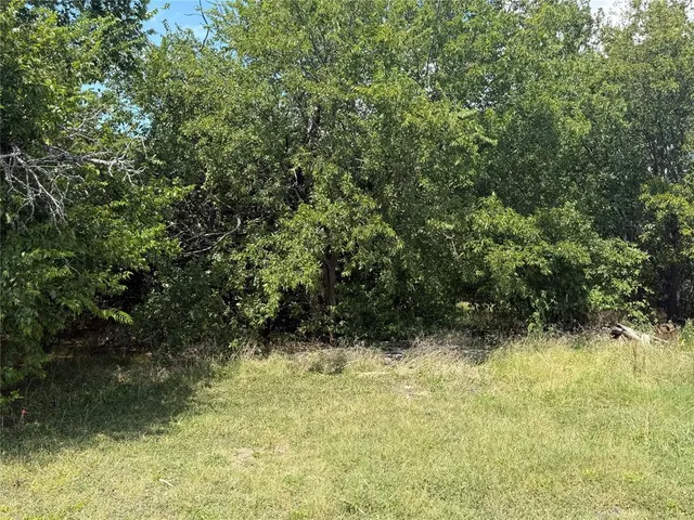 a view of outdoor space and trees