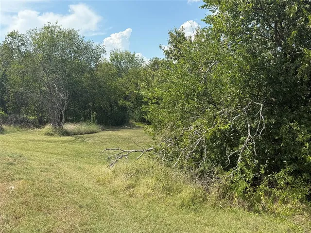 a view of outdoor space and yard