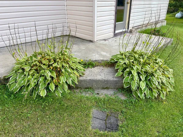 $311,000 | 38213 Highway 87, Frazee, MN 56544