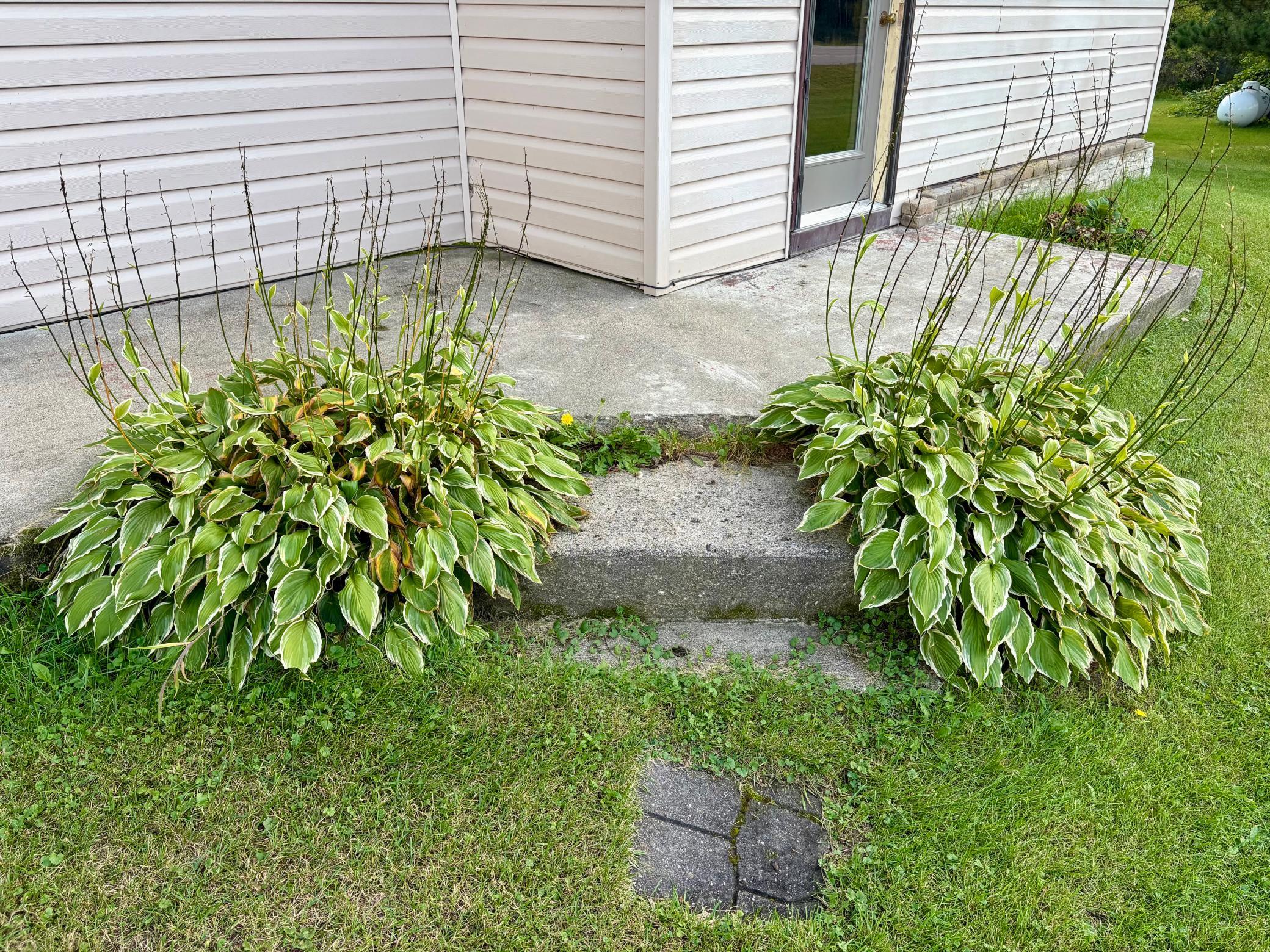 38213 Highway 87 Frazee, MN 56544 - Photo 11 of 59