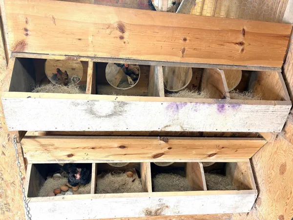 $311,000 | 38213 Highway 87, Frazee, MN 56544