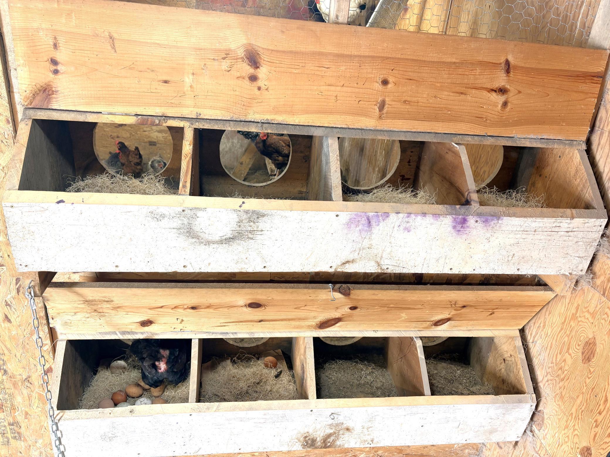 38213 Highway 87 Frazee, MN 56544 - Photo 53 of 59