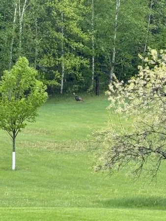 $311,000 | 38213 Highway 87, Frazee, MN 56544