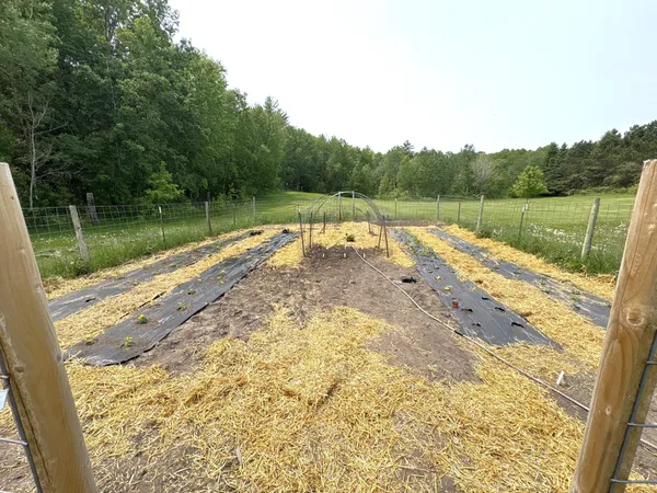 $311,000 | 38213 Highway 87, Frazee, MN 56544