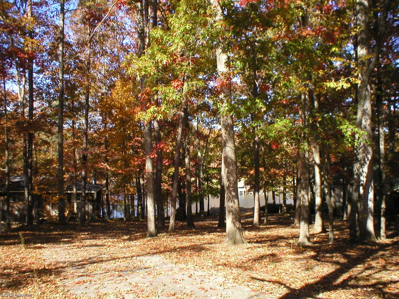 1396 Raccoon Creek Road Jasper, AL 35504 - Photo 5 of 5 Gallery Image 5