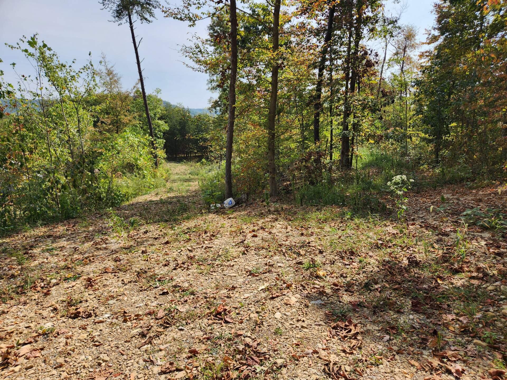 Lot #3 Routt Road Wallingford, KY 41093 - Photo 1 of 4 Attachment 4