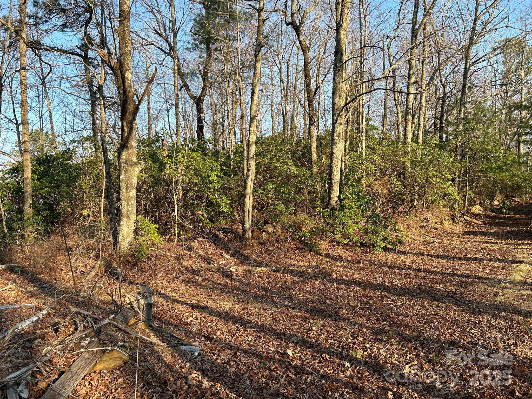 0 Howell Road Brevard, NC 28712 - Photo 13 of 23 a view of a yard with plants and trees
