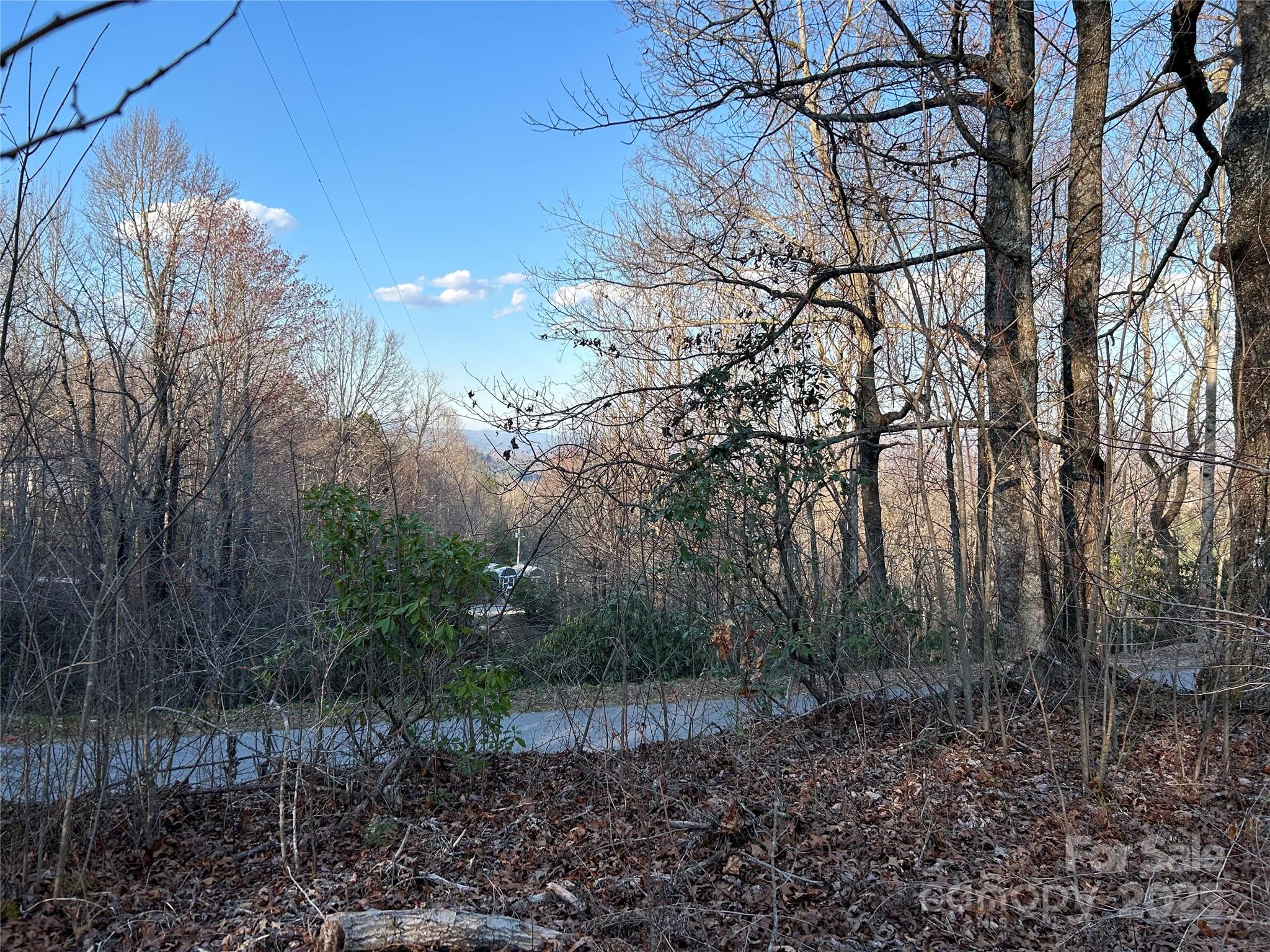 0 Howell Road Brevard, NC 28712 - Photo 15 of 23 a view of a forest filled with trees