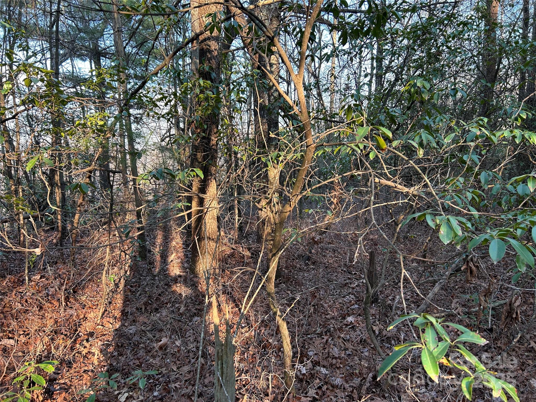 0 Howell Road Brevard, NC 28712 - Photo 16 of 23 a backyard of a house with lots of trees