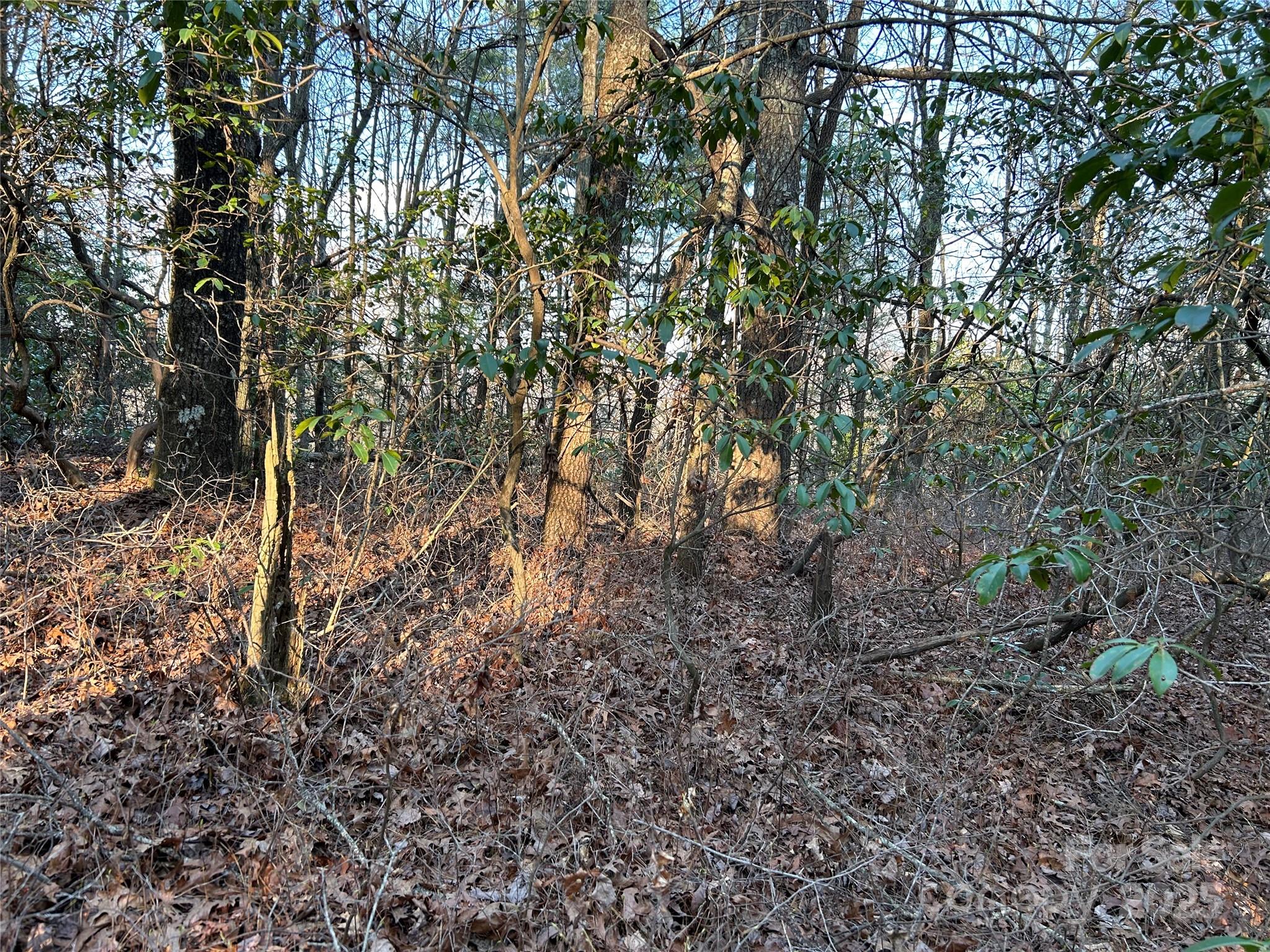 0 Howell Road Brevard, NC 28712 - Photo 17 of 23 a view of a yard with a tree