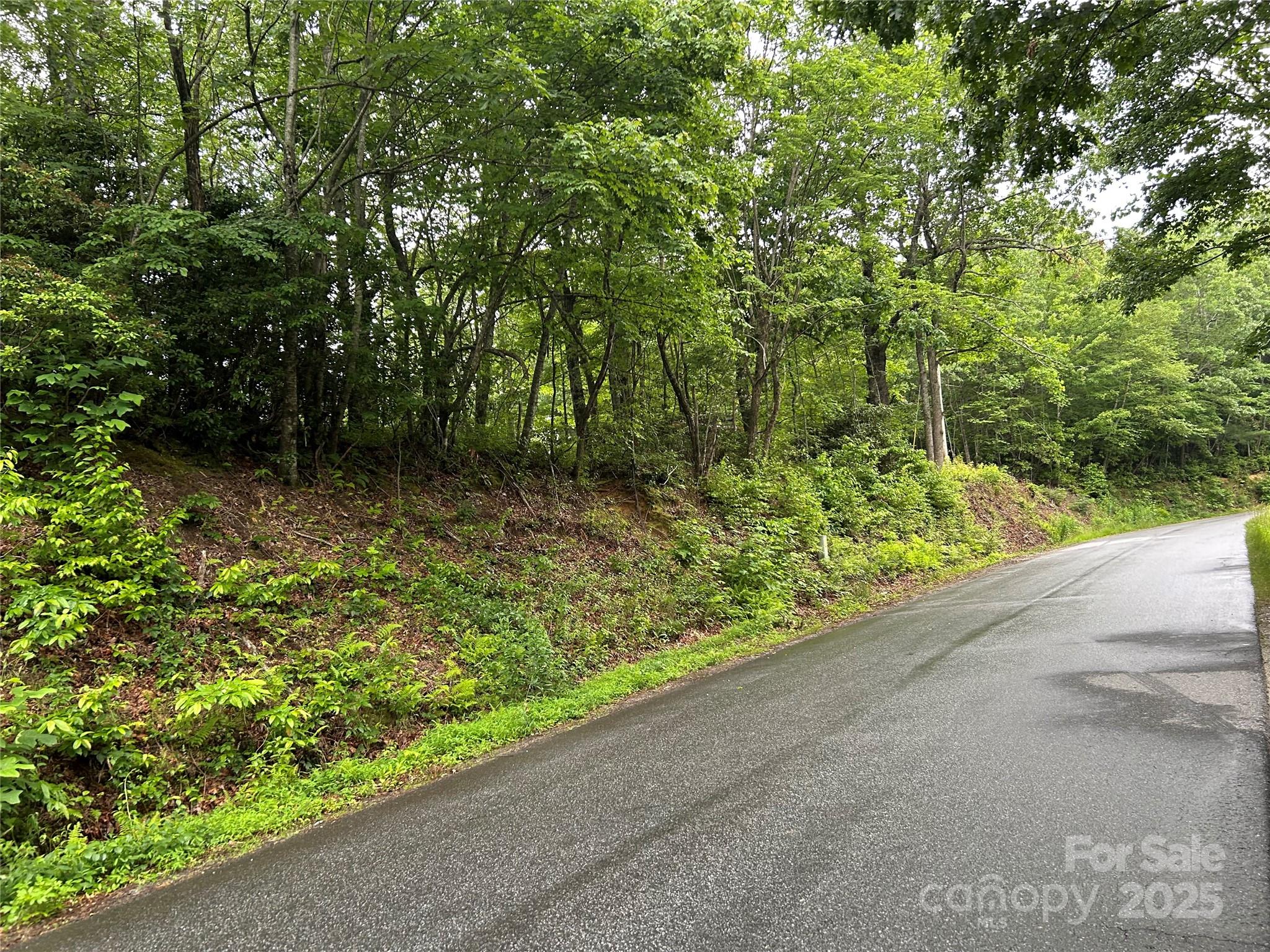 0 Howell Road Brevard, NC 28712 - Photo 20 of 23 a view of a garden
