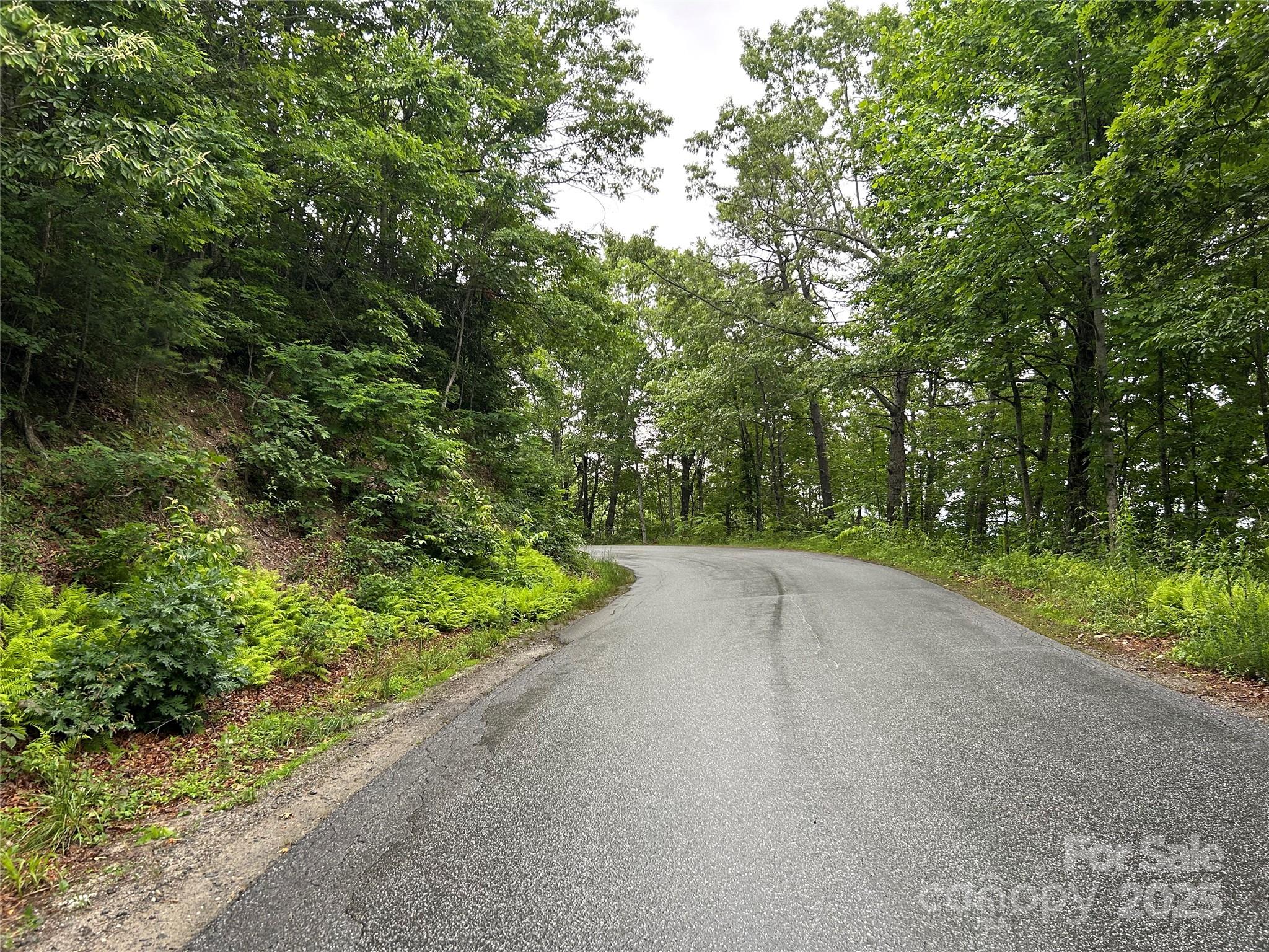 0 Howell Road Brevard, NC 28712 - Photo 22 of 23 a view of a street view