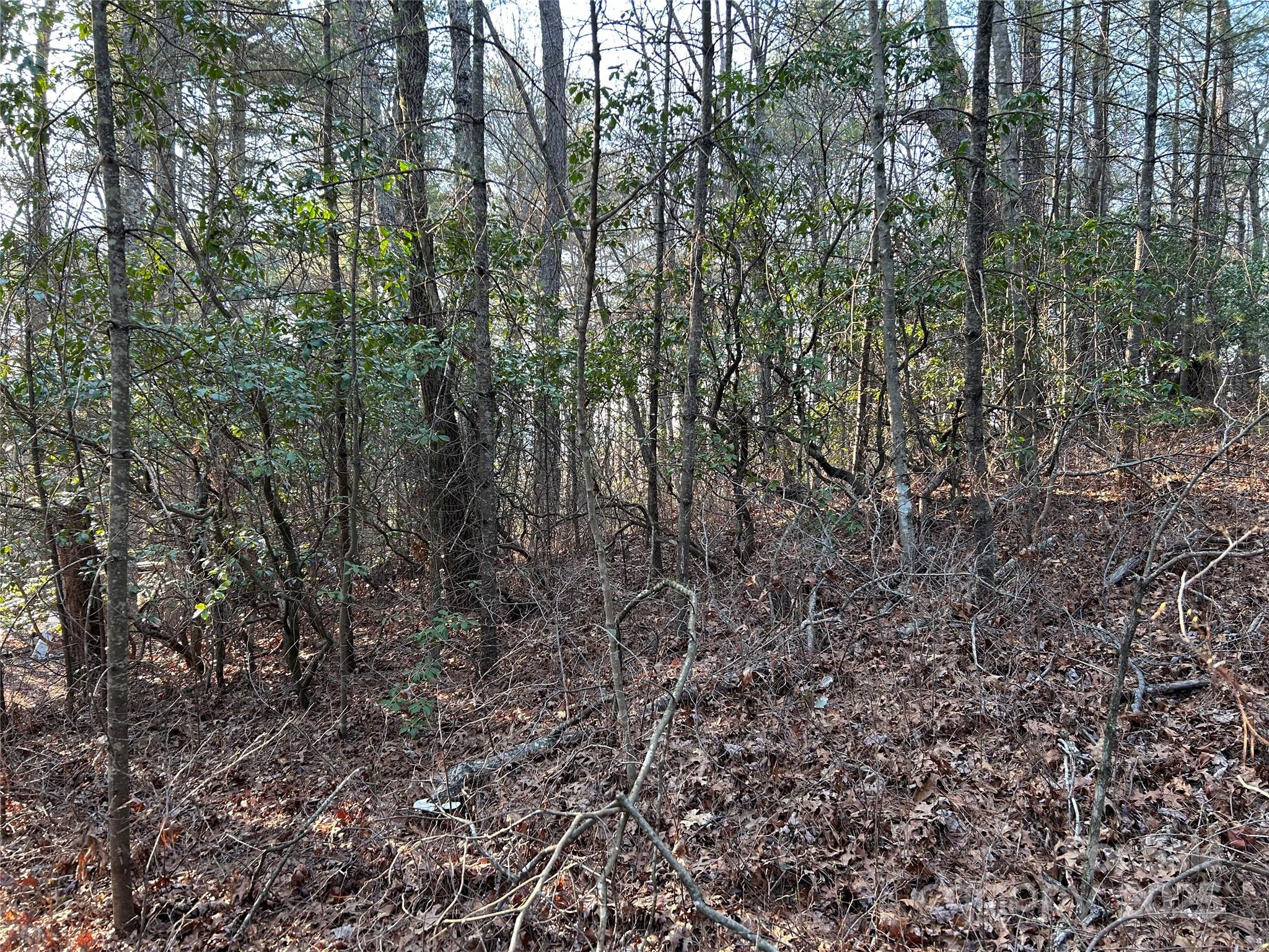 0 Howell Road Brevard, NC 28712 - Photo 3 of 23 a view of a yard with a tree