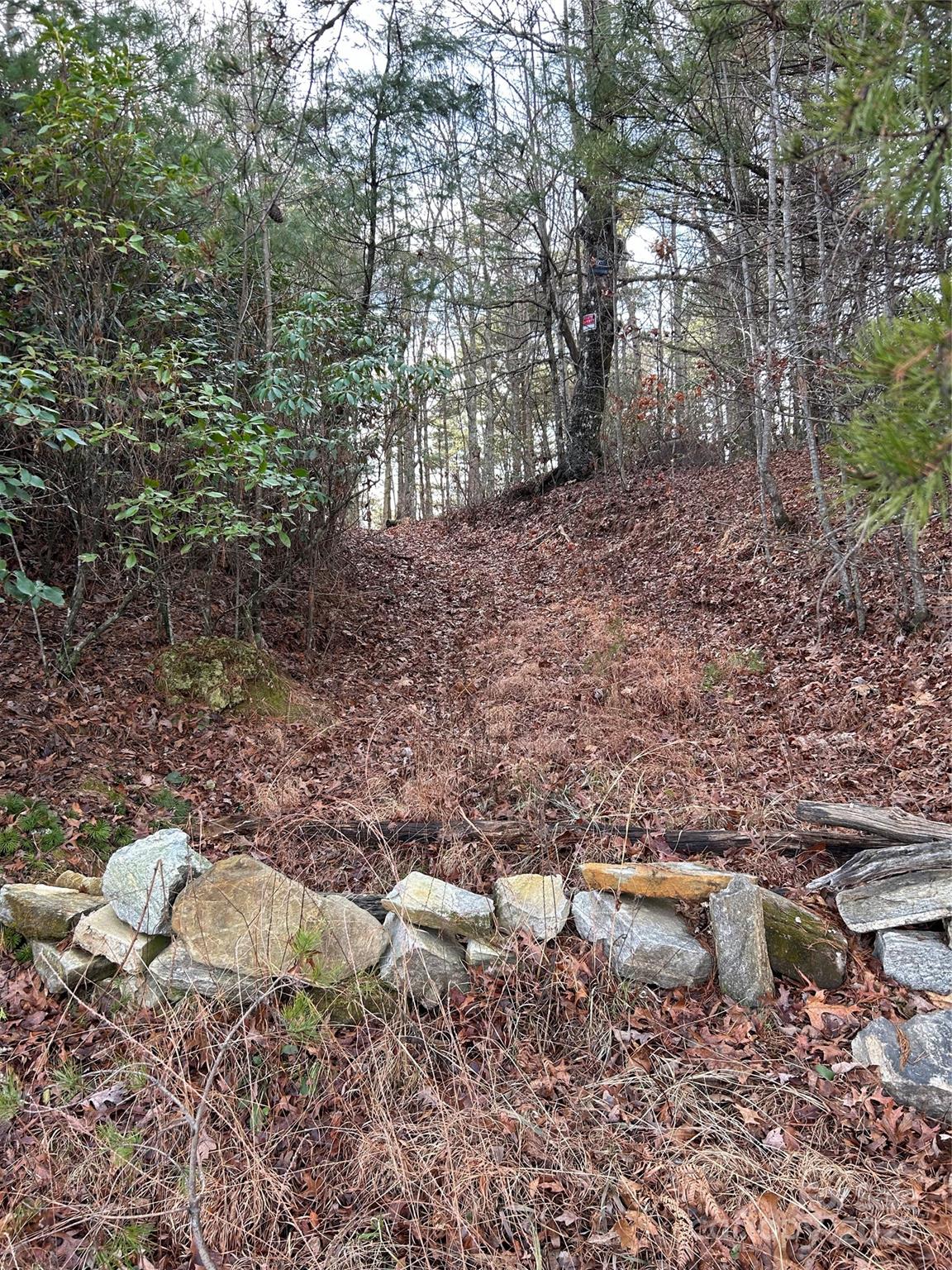 0 Howell Road Brevard, NC 28712 - Photo 4 of 23 a view of a forest with trees