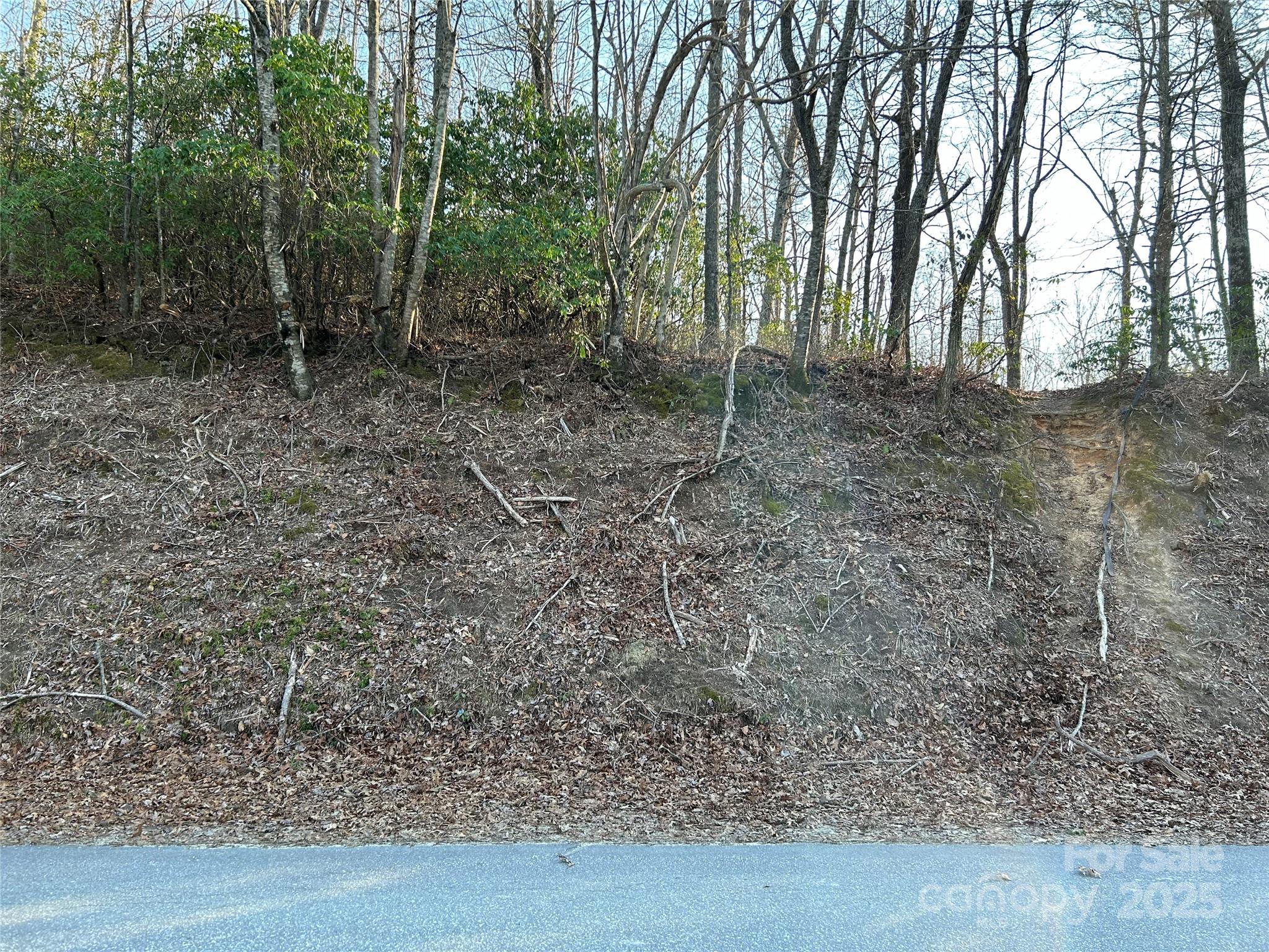 0 Howell Road Brevard, NC 28712 - Photo 10 of 23 a view of a yard with trees