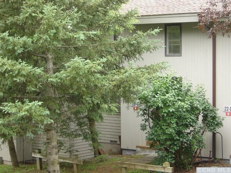 22 C Windham Ridge Road Windham, NY 12496 - Photo 1 of 10 Photo 1