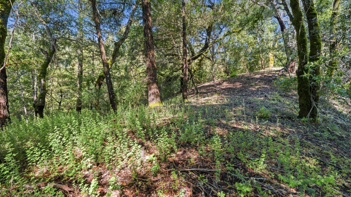 360 Rincon Way Boulder Creek, CA 95006 - Photo 33 of 46