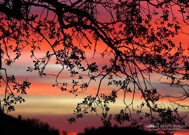 12469 Franceschi Road Caliente, CA 93518 - Photo 57 of 58 Gallery Image 57