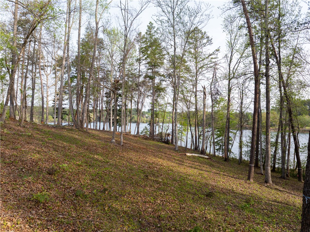 390 Peninsula Ridge Sunset, SC 29685 - Photo 19 of 35
