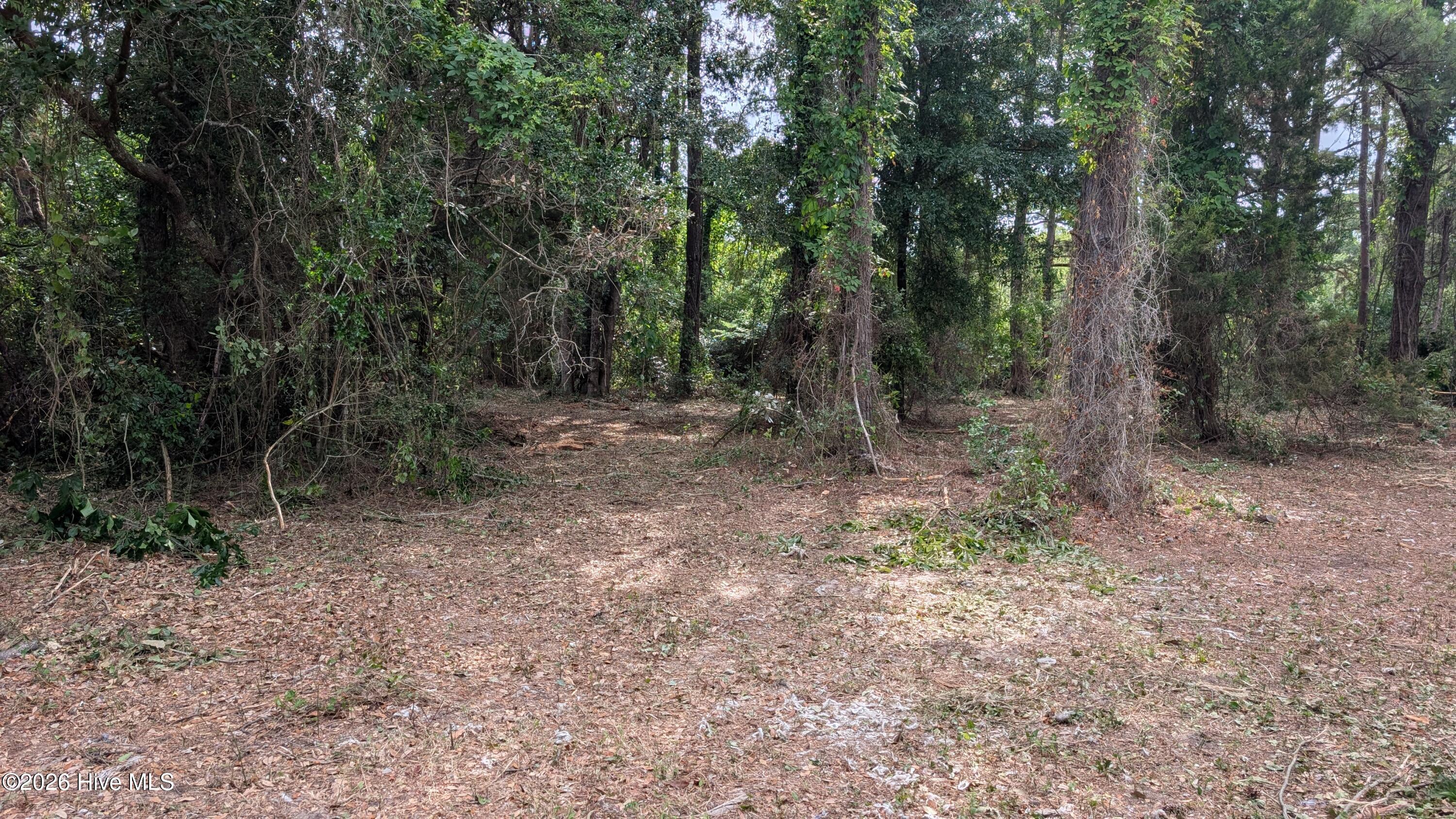 124 Old Farm Road Hampstead, NC 28443 - Photo 6 of 7