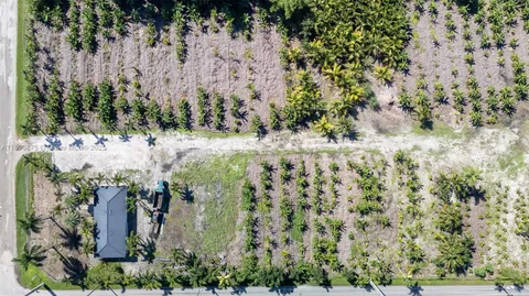 a view of a yard with large trees