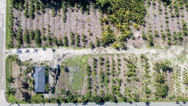 a view of a yard with large trees
