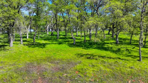 a green field with lots of trees