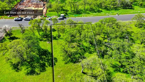 a view of a garden with plants