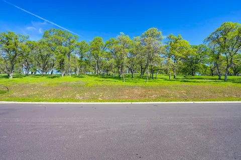a view of a big yard with a large trees