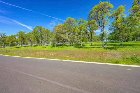 a view of a park with large trees