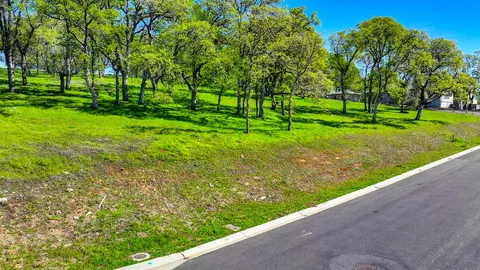 a view of a city with lush green forest