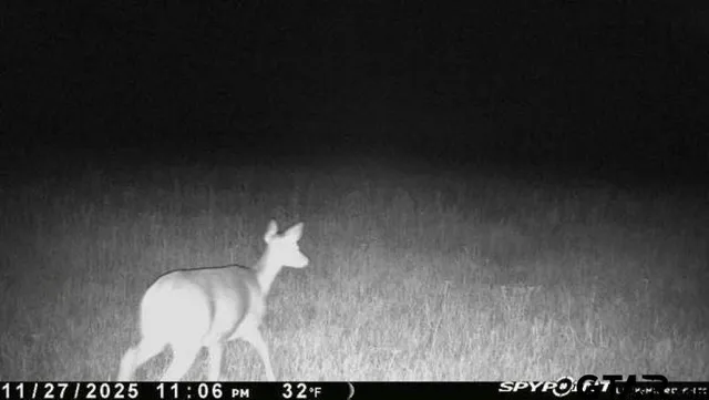 $325,000 | 2998 Paducah Tx 79248, Paducah, TX 79248