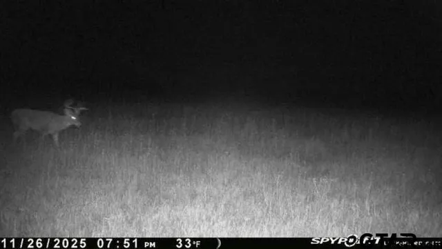 $325,000 | 2998 Paducah Tx 79248, Paducah, TX 79248