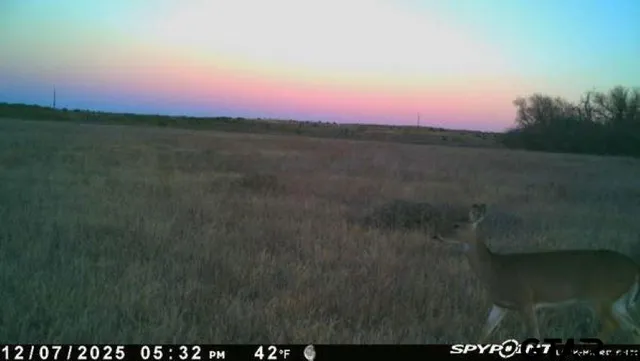 $325,000 | 2998 Paducah Tx 79248, Paducah, TX 79248