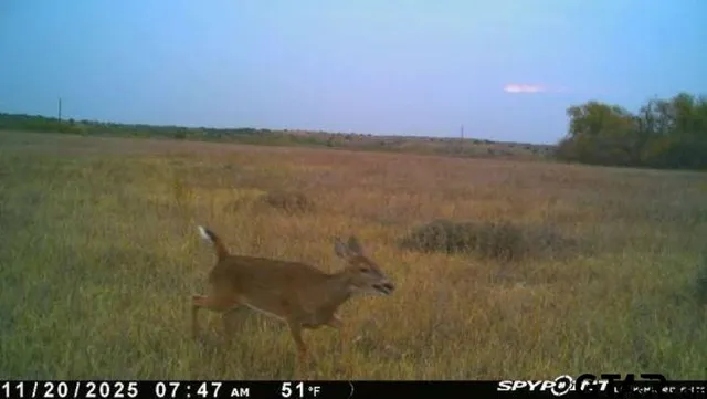 $325,000 | 2998 Paducah Tx 79248, Paducah, TX 79248