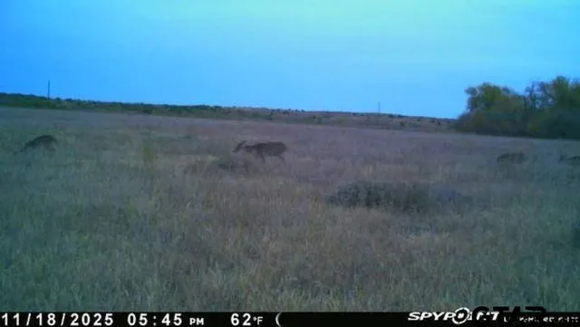 $325,000 | 2998 Paducah Tx 79248, Paducah, TX 79248