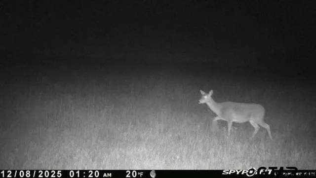 $325,000 | 2998 Paducah Tx 79248, Paducah, TX 79248