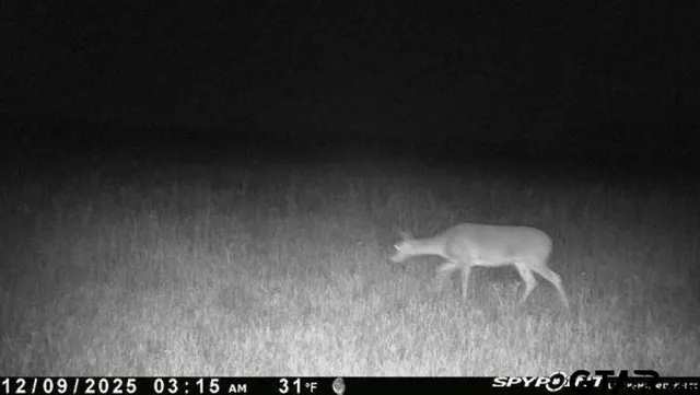 $325,000 | 2998 Paducah Tx 79248, Paducah, TX 79248