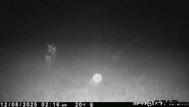 $325,000 | 2998 Paducah Tx 79248, Paducah, TX 79248