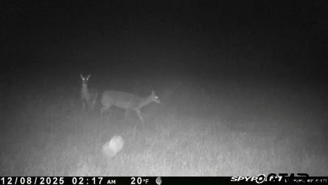 $325,000 | 2998 Paducah Tx 79248, Paducah, TX 79248