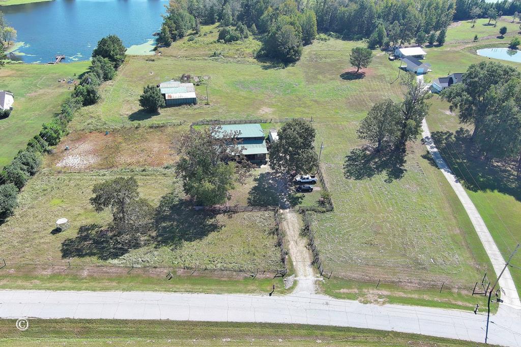 13 Lakeridge Road Seale, AL 36875 - Photo 21 of 24 a view of a yard