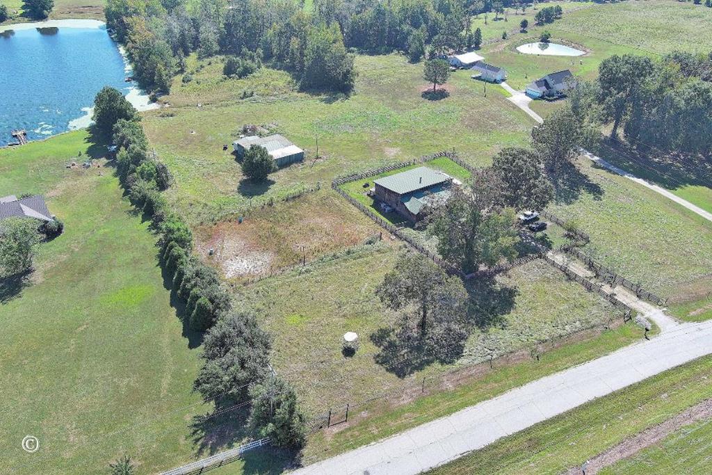 13 Lakeridge Road Seale, AL 36875 - Photo 22 of 24 a view of a tree with a yard