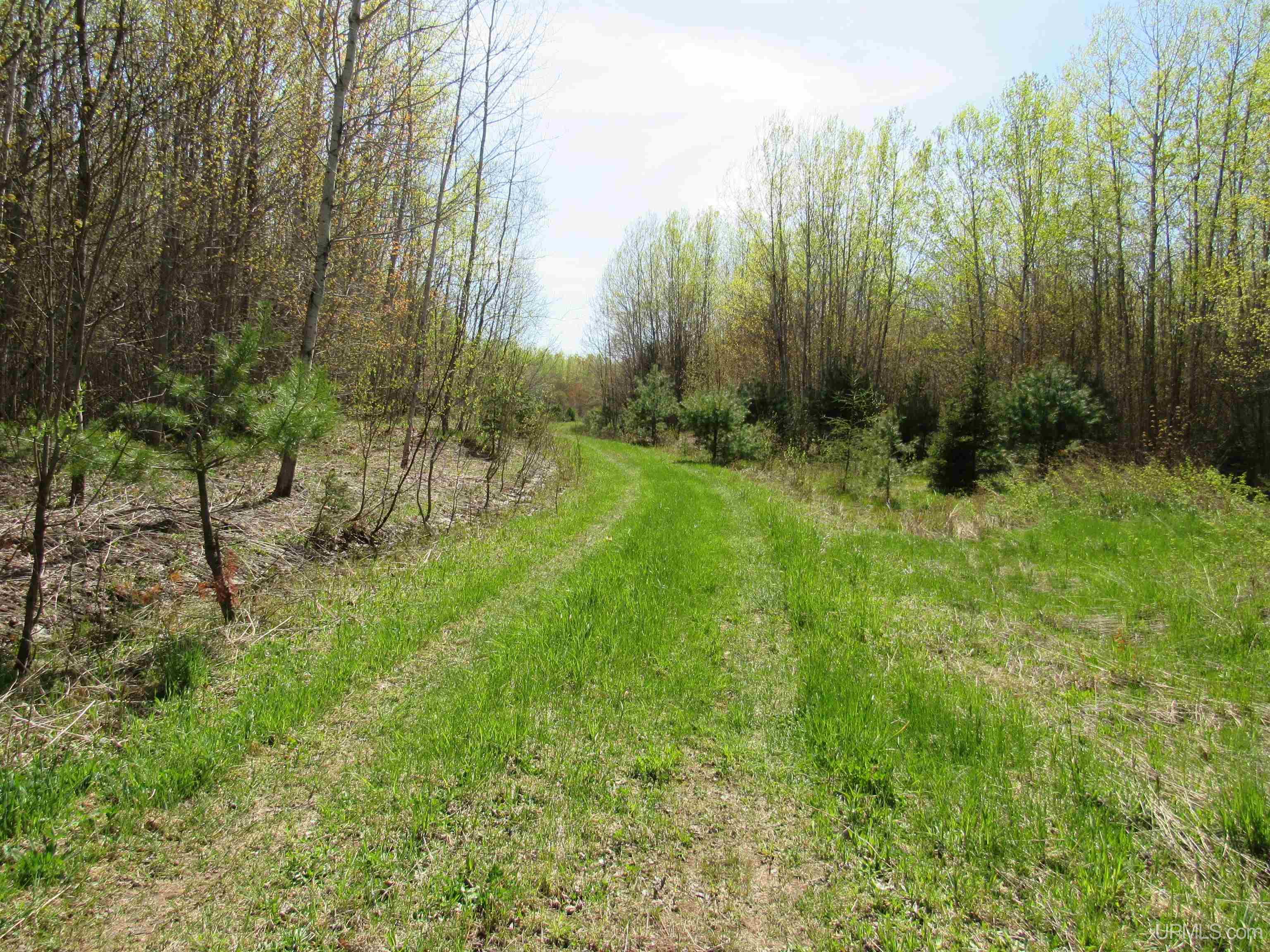 Tbd Off Rice Lake Road, Unit NO DRIVE BYS Lake Linden, MI 49945 - Photo 2 of 40