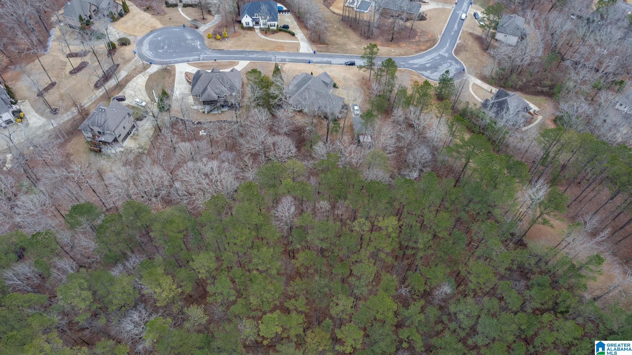 147 Highland Ridge Drive Chelsea, AL 35043 - Photo 58 of 58