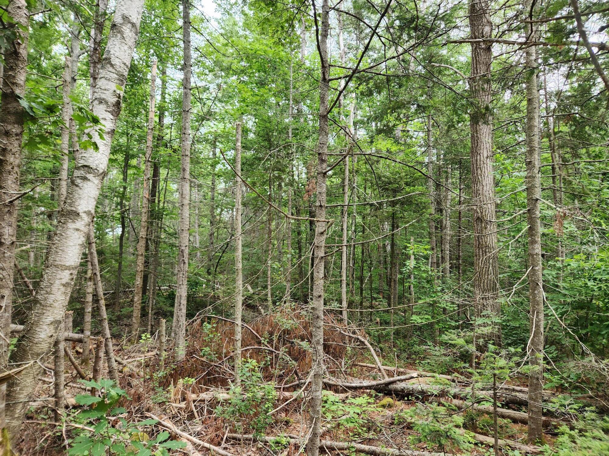 2851 Friendship Road Waldoboro, ME 04572 - Photo 11 of 16 20240730_154641