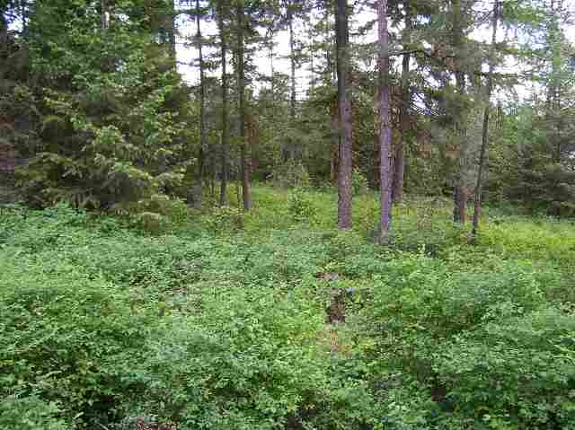 2501 Highline Road, Unit LOT #7 Chewelah, WA 99109 - Photo 3 of 6 Gallery Image 3
