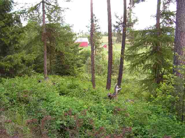 2501 Highline Road, Unit LOT #7 Chewelah, WA 99109 - Photo 5 of 6 Gallery Image 5