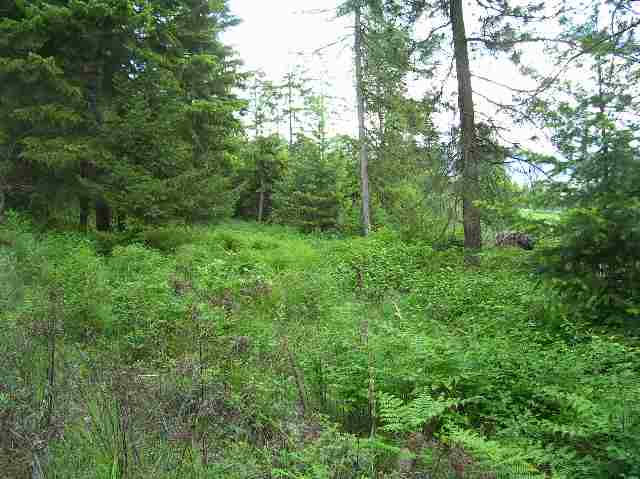 2501 Highline Road, Unit LOT #7 Chewelah, WA 99109 - Photo 6 of 6 Gallery Image 6
