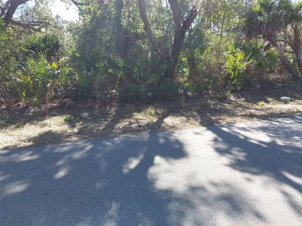 a view of a yard with trees