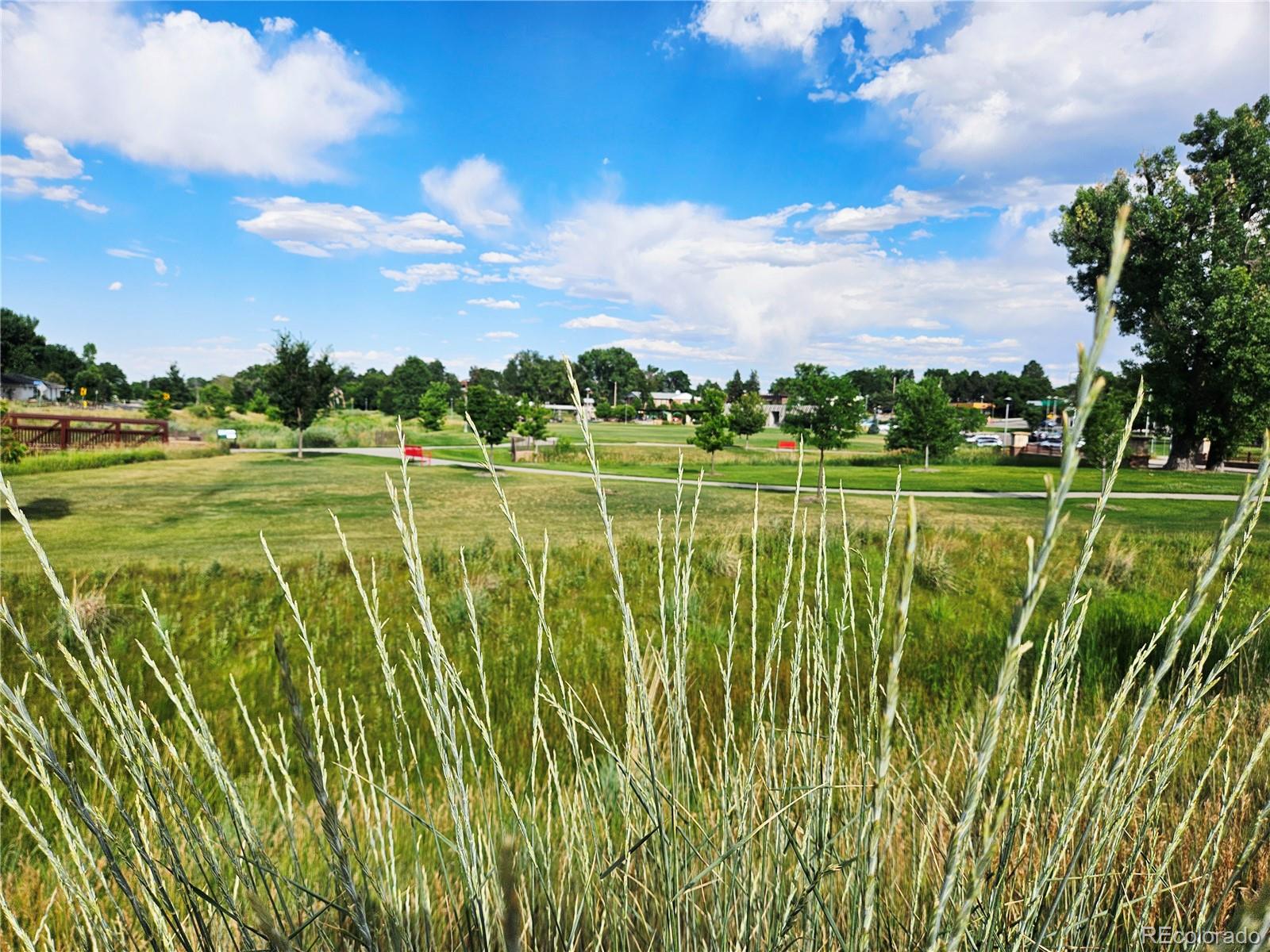 6314 Brooks Drive Arvada, CO 80004 - Photo 47 of 50 a view of a golf course with a lake